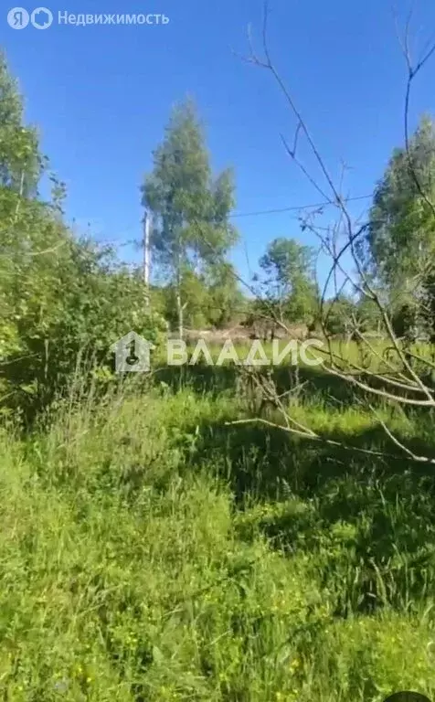 Участок в деревня Есино, 5 (10 м) - Фото 2