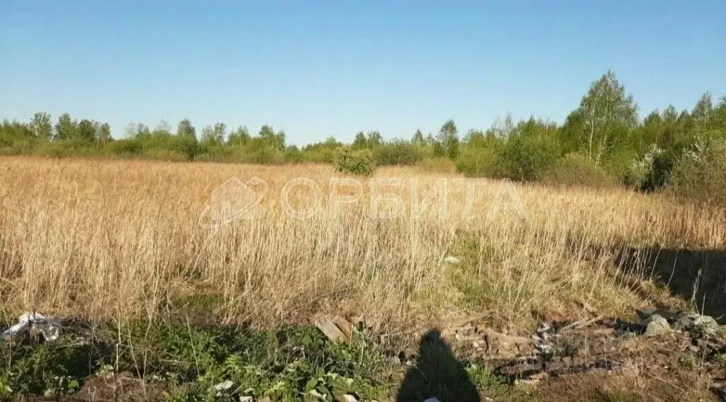 Участок в Тюменская область, Тюмень Поле Чудес-2 садовое товарищество, ... - Фото 0