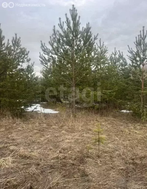 Участок в муниципальное образование Киров, деревня Загоски (10 м) - Фото 1