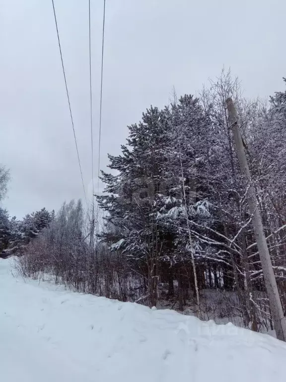 Участок в Вологодская область, Усть-Кубинский муниципальный округ, ... - Фото 1