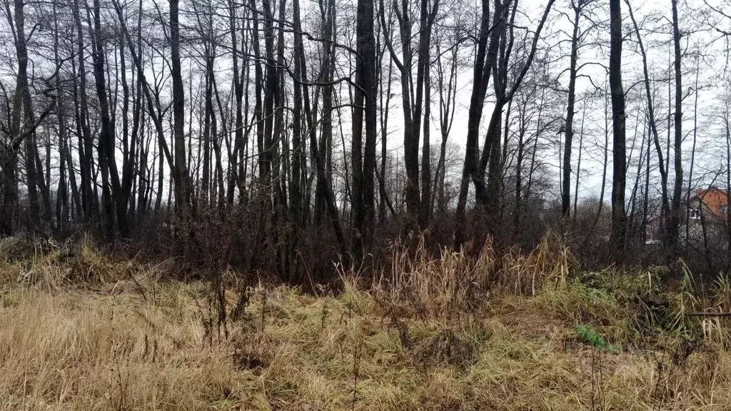 Участок в Московская область, Озеры Коломна городской округ, Цветочная ... - Фото 2