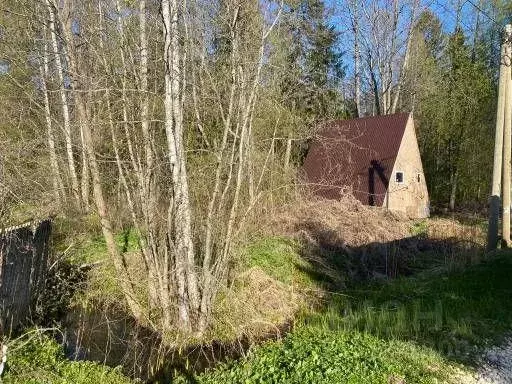 Дом, 36.5 м - Фото 1