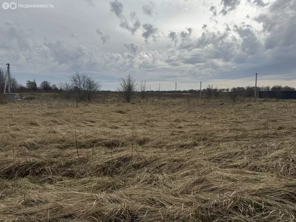 Участок в Калининградская область, Гурьевский муниципальный округ, ... - Фото 1