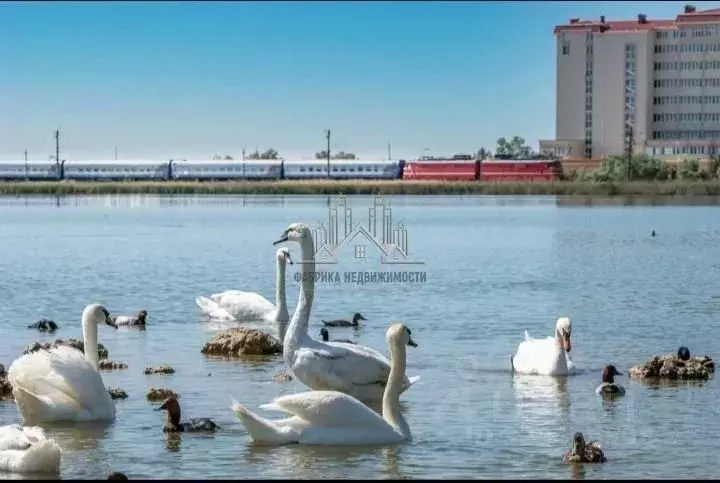 Студия Крым, Евпатория городской округ, Заозерное пгт ул. Аллея ... - Фото 1