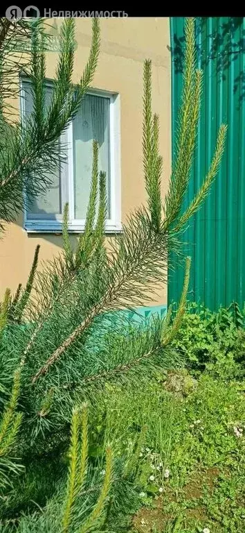 Дом в Мазальцево, улица Мира (100 м) - Фото 0