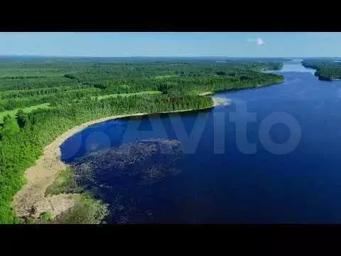 Участок 2,8 га (СНТ, ДНП) - Фото 1