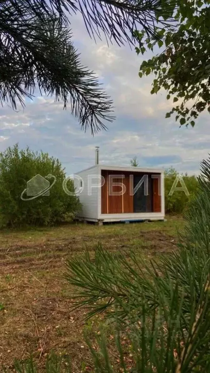 Участок в Тюменская область, Ялуторовский муниципальный округ, СО ... - Фото 1