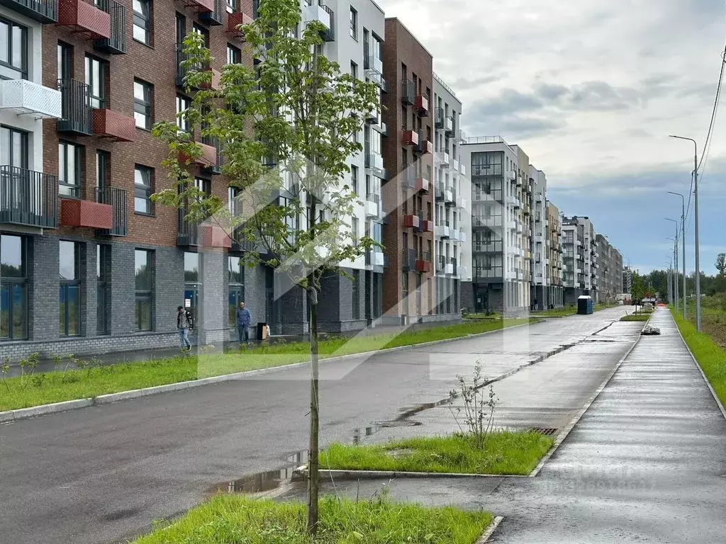 Торговая площадь в Московская область, Одинцовский городской округ, с. ... - Фото 1