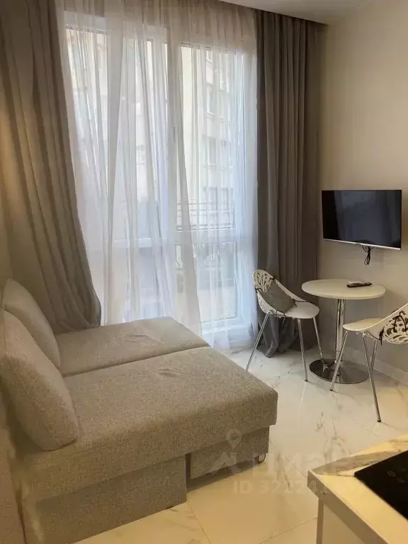 1-к кв. Краснодарский край, Сочи Виноградная ул., 219с1 (29.0 м) - Фото 2