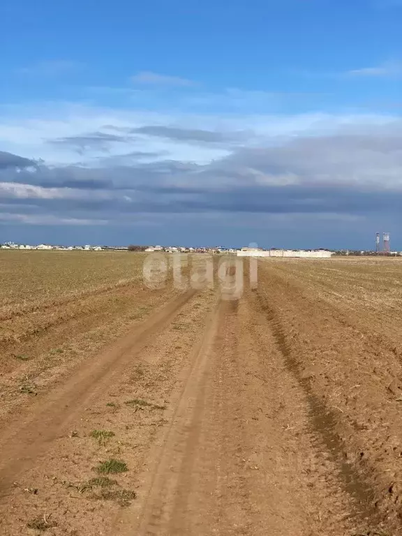 Участок в Крым, Сакский район, с. Молочное ул. Конрадская (30.0 сот.) - Фото 1