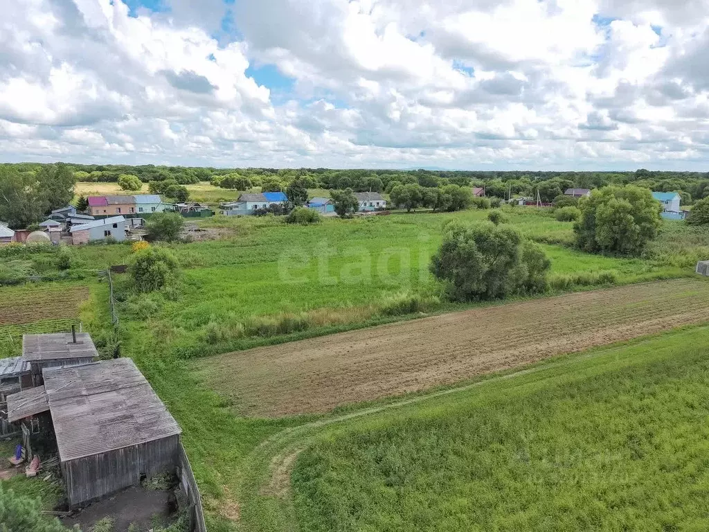 Участок в Хабаровский край, Имени Лазо район, с. Могилевка  (36.0 ... - Фото 2