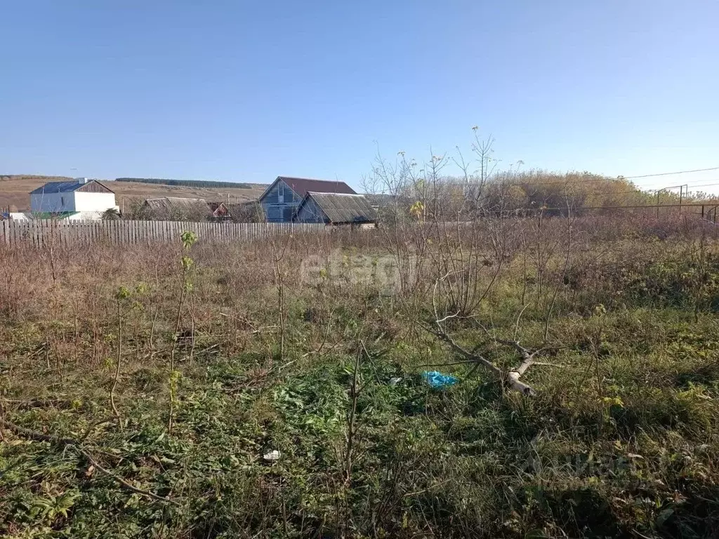 Участок в Ульяновская область, Сенгилеевский район, с. Тушна ул. 25 ... - Фото 1