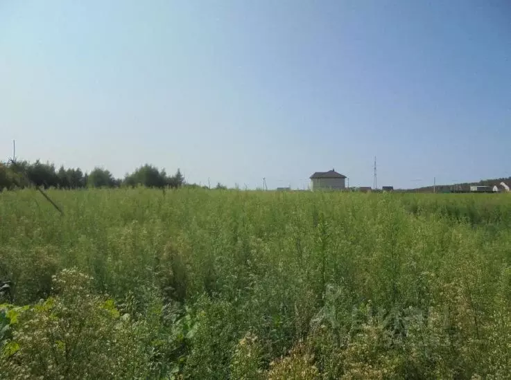 Участок в Московская область, Дмитровский муниципальный округ, пос. ... - Фото 0