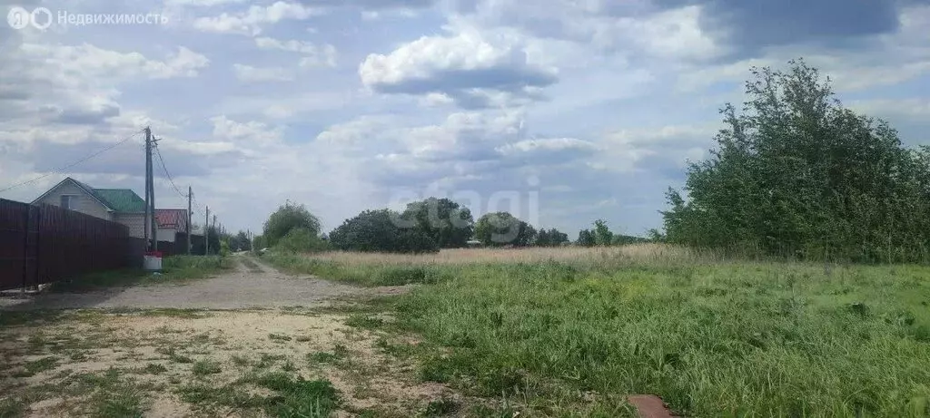 Участок в Воронежская область, село Новая Усмань (8 м) - Фото 0