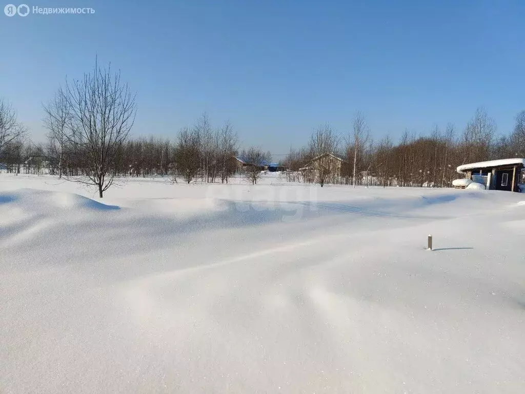 Участок в село Выльгорт, улица Семёна Налимова (10.18 м) - Фото 2