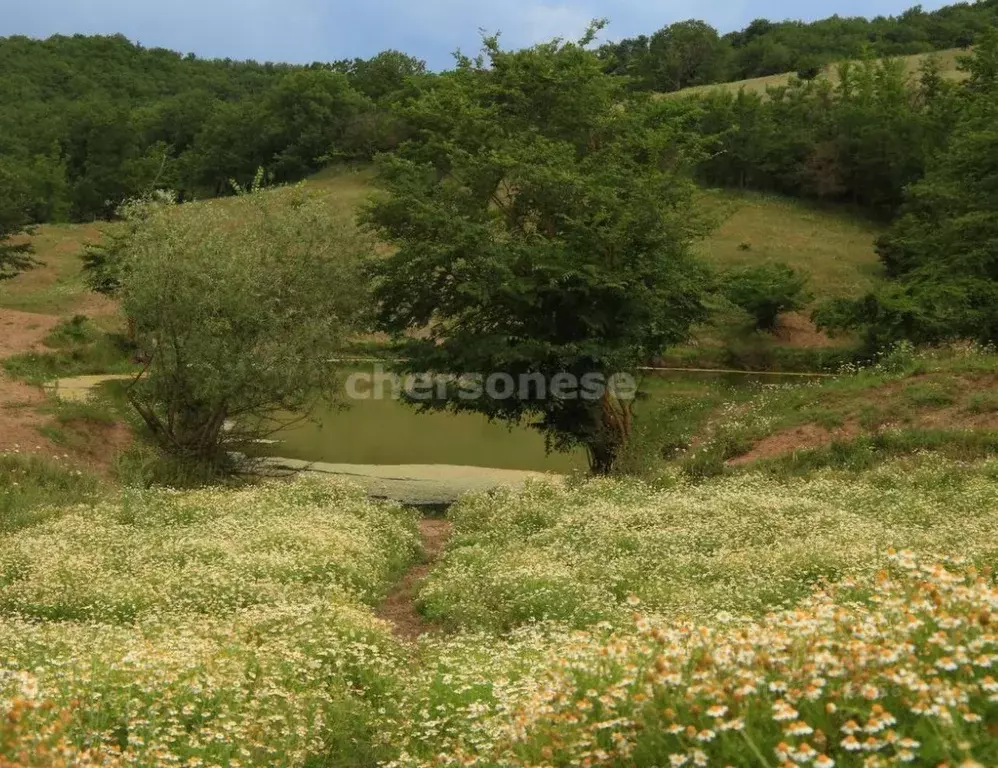 Участок в Крым, Бахчисарайский район, Голубинское с/пос, с. ... - Фото 2