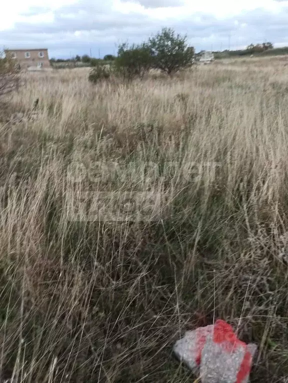 Участок в Крым, Сакский район, Штормовское с/пос, с. Приветное ул. ... - Фото 2