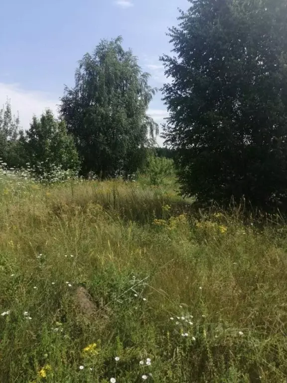 Участок в Липецкая область, Елец ул. Ясная, 4 (9.47 сот.) - Фото 1