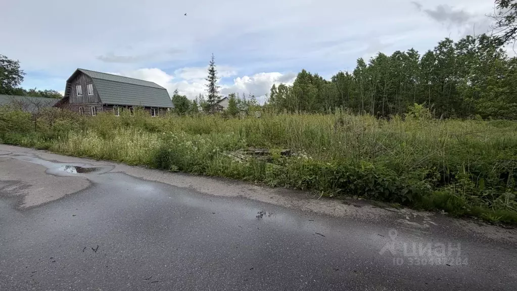 Участок в Новгородская область, Новгородский муниципальный район, ... - Фото 2