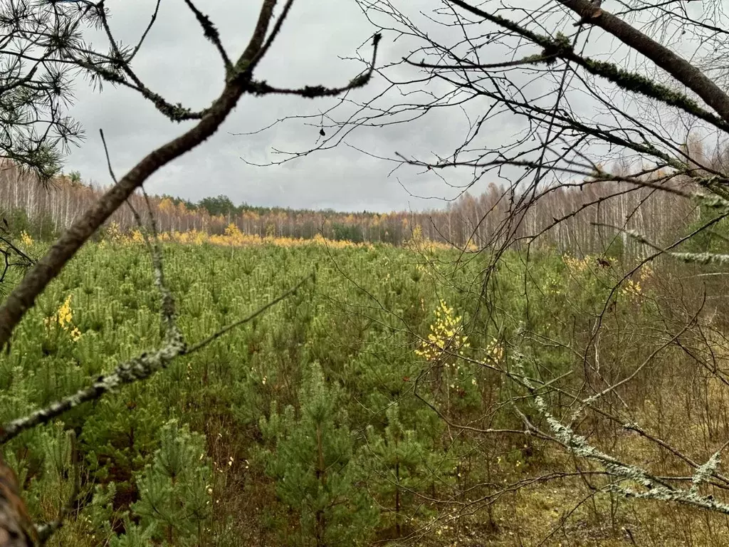 Участок в Брянская область, Брянск просп. Ленина (510.0 сот.) - Фото 2