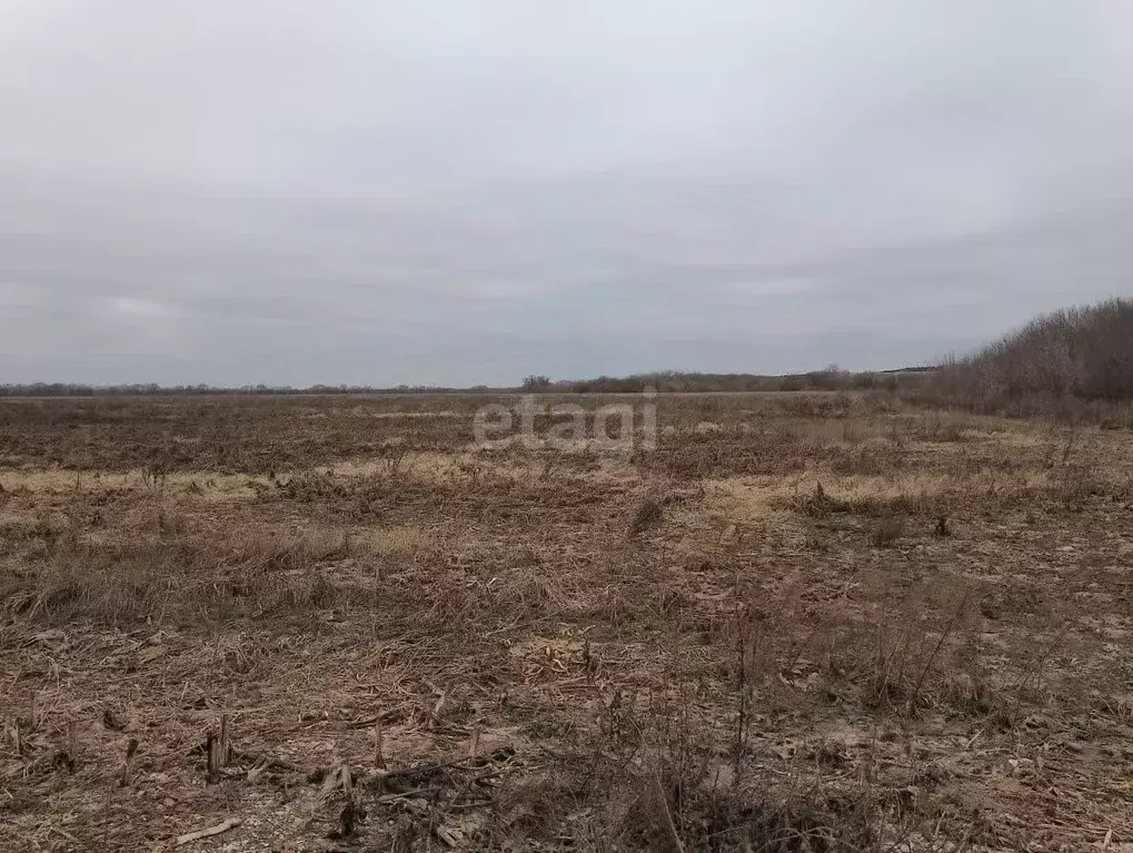 Участок в Московская область, Серпухов  (1280.0 сот.) - Фото 1