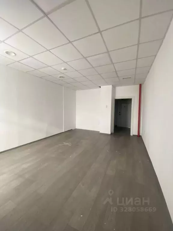 Помещение свободного назначения в Саха (Якутия), Якутск просп. Ленина, ... - Фото 2