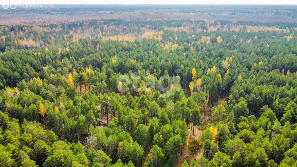 Участок в Тюменский район, деревня Железный Перебор, Петропавловский ... - Фото 1