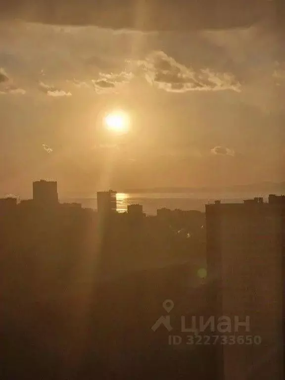 1-к кв. Приморский край, Владивосток ул. Полковника Фесюна, 16 (46.0 ... - Фото 2