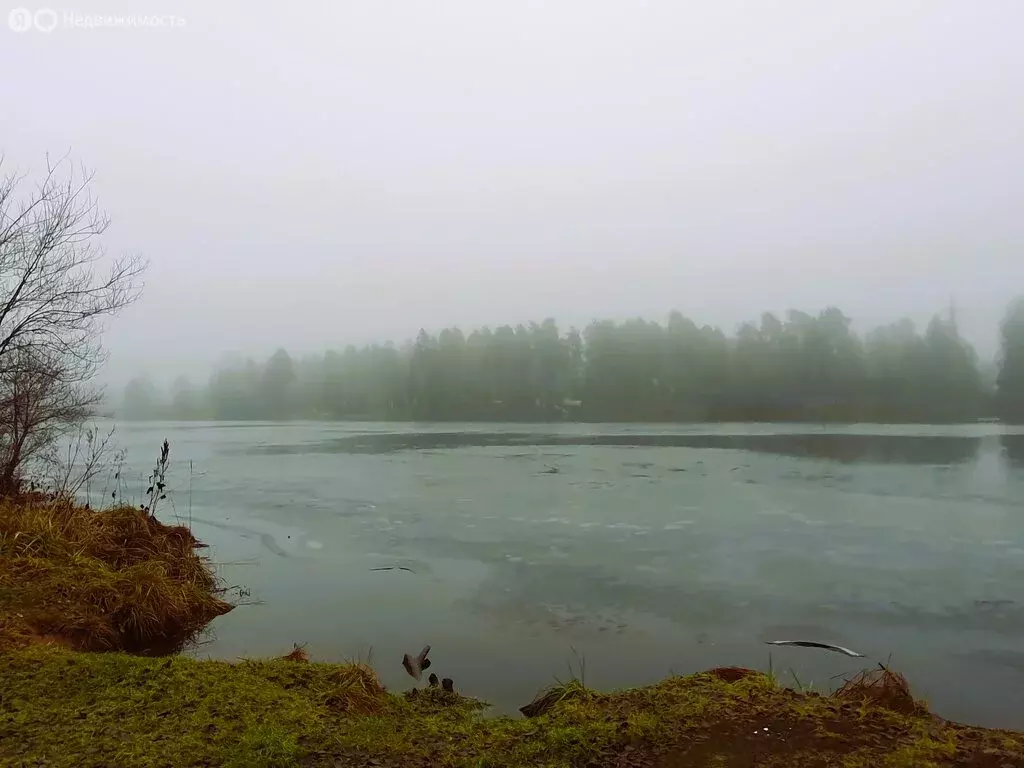Дом в городской посёлок Вырица, улица Жертв Революции (250 м) - Фото 0