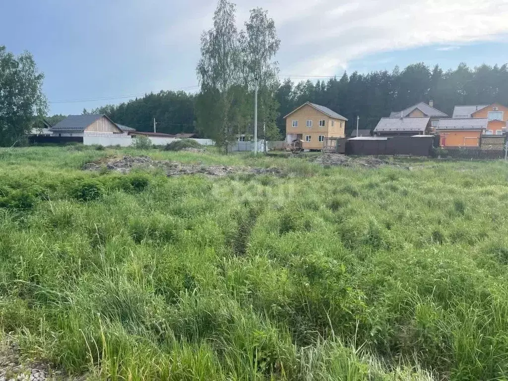 Участок в Московская область, Богородский городской округ, д. ... - Фото 1