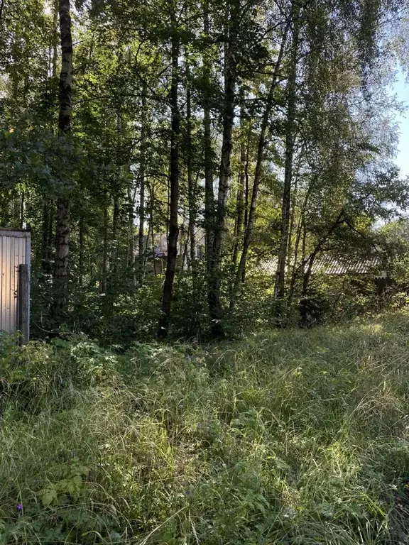 Участок в Московская область, Дмитровский муниципальный округ, ... - Фото 2