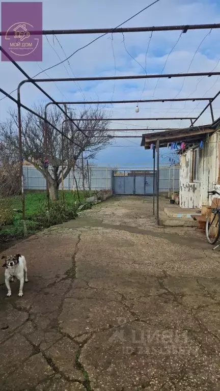 Дом в Крым, Сакский район, Молочненское с/пос, с. Абрикосовка ул. ... - Фото 2