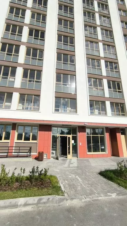 Студия Санкт-Петербург Пискаревский просп., 142к4 (20.0 м) - Фото 1