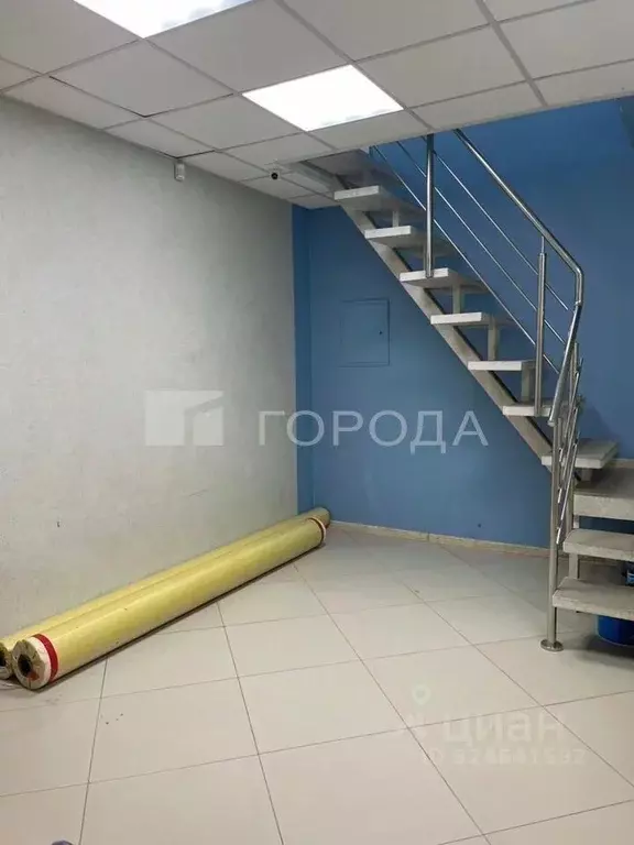 Помещение свободного назначения в Новосибирская область, Новосибирск ... - Фото 2