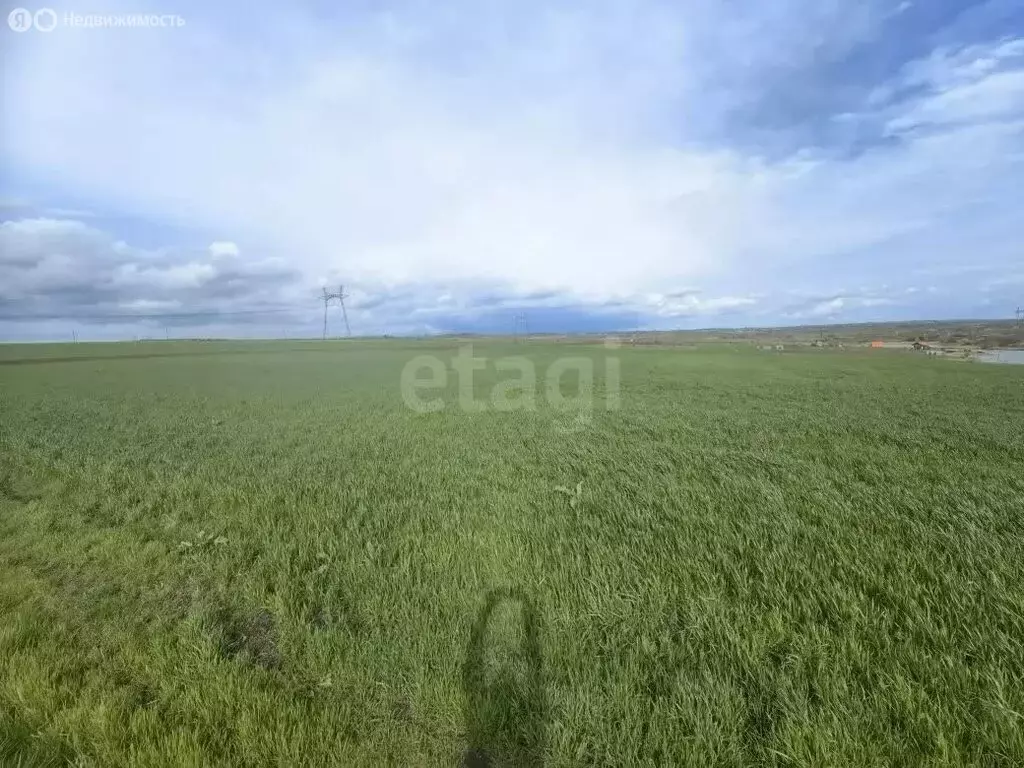 Участок в Краснодарский край, Анапа (264 м) - Фото 2