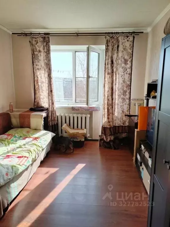 1-к кв. Московская область, Люберцы городской округ, Малаховка пгт ул. ... - Фото 1