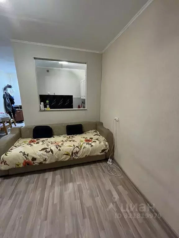 1-к кв. Хабаровский край, Хабаровский район, с. Некрасовка Солнечная ... - Фото 1