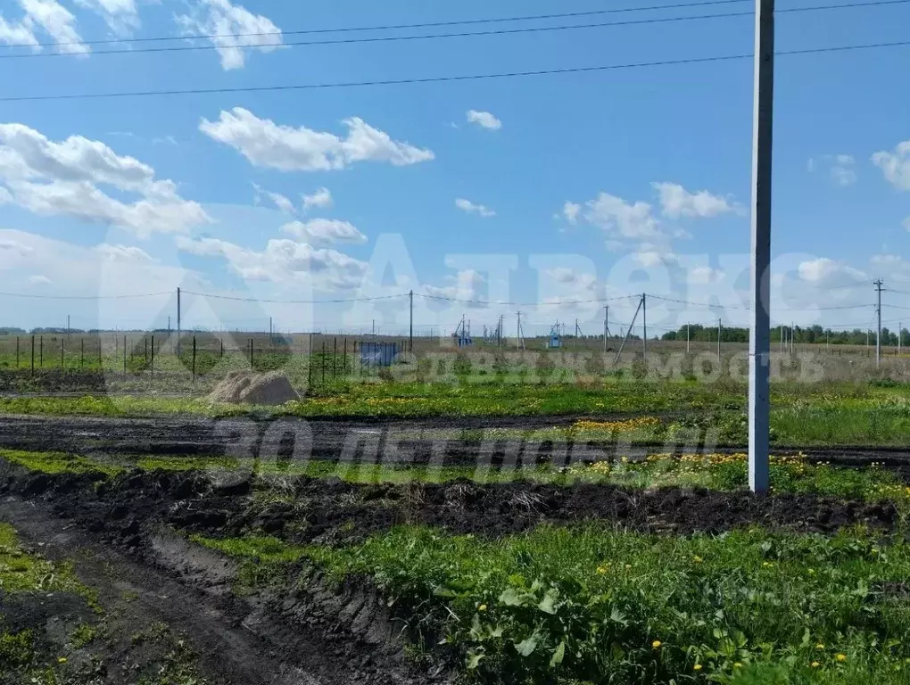 Участок в Тюменская область, Тюменский район, д. Большие Акияры  (8.36 ... - Фото 1