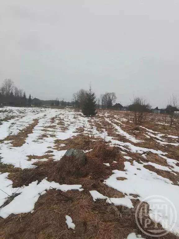 Участок в Ленинградская область, Волосовский район, Большеврудское ... - Фото 1
