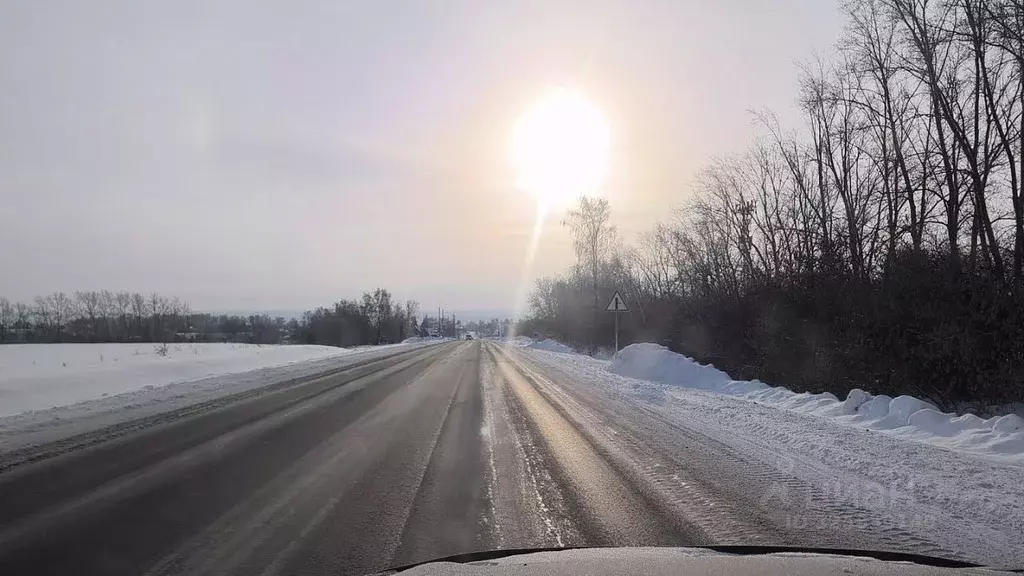 Участок в Новосибирская область, Новосибирский район, Морской ... - Фото 1