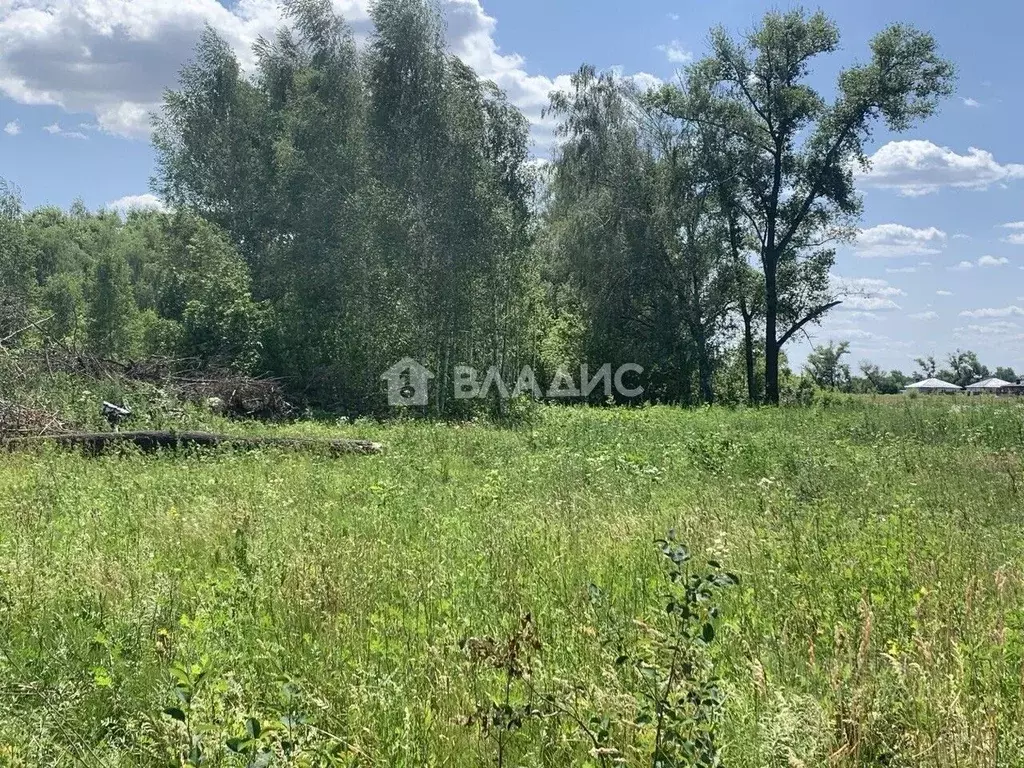Участок в Воронежская область, Воронеж ул. Славянова (6.0 сот.) - Фото 1