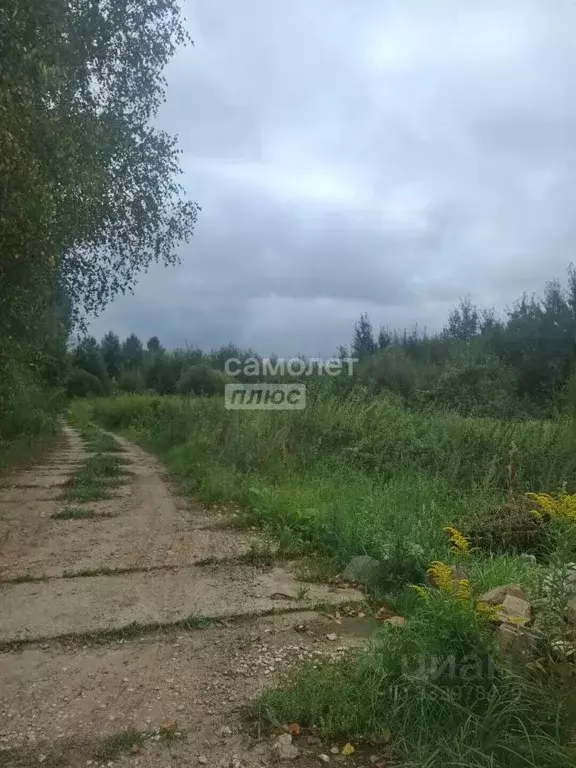 Участок в Московская область, Мытищи городской округ, д. Долгиниха ул. ... - Фото 2