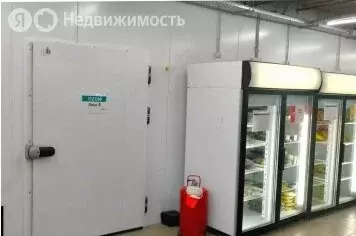 Помещение свободного назначения (527.8 м) - Фото 0