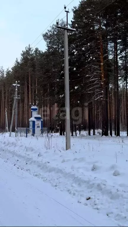 Участок в Тюменская область, Нижнетавдинский муниципальный округ, пос. ... - Фото 2