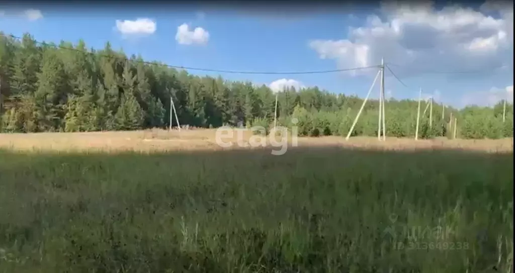 Участок в Свердловская область, Невьянский муниципальный округ, д. ... - Фото 0