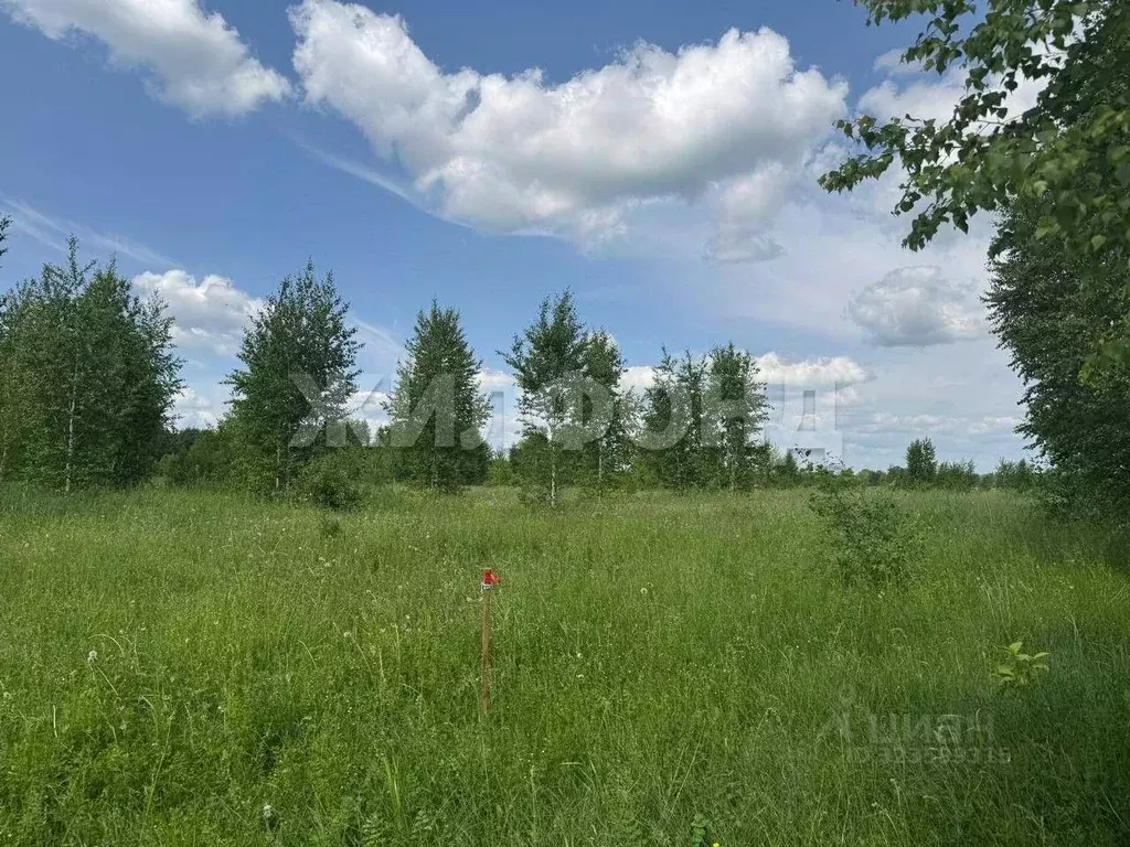 Участок в Новосибирская область, Новосибирский район, Каменский ... - Фото 2