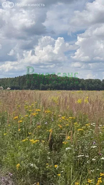 Участок в Мылинское сельское поселение, деревня Фроловка (24 м) - Фото 2