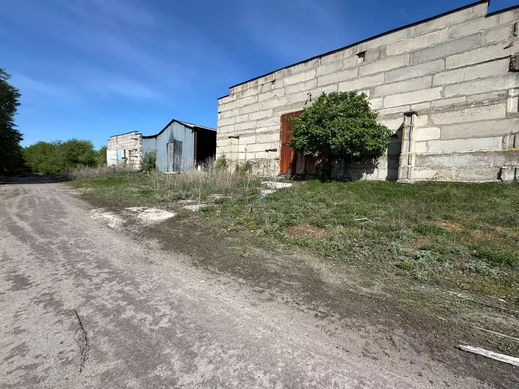 Производственное помещение в Воронежская область, Воронеж ул. ... - Фото 1