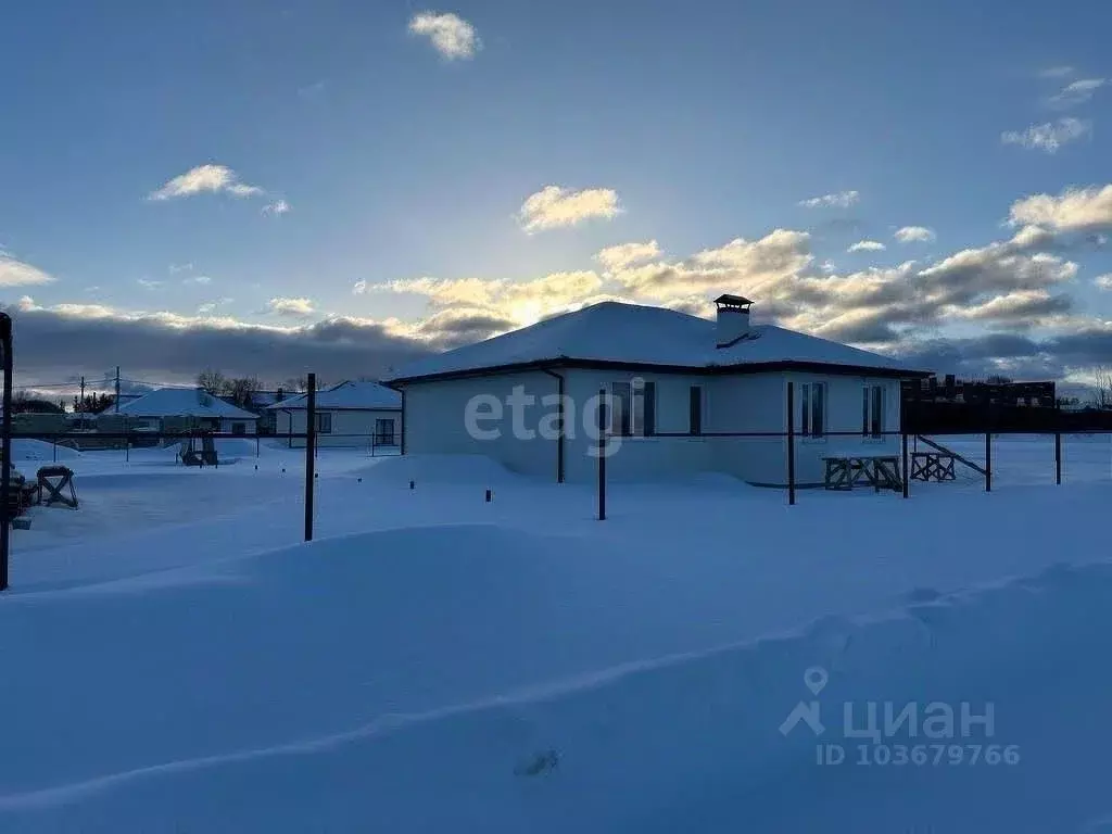 Дом в Самарская область, Ставропольский район, с. Тимофеевка ул. ... - Фото 1