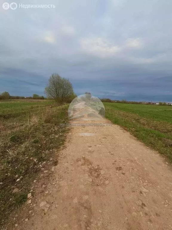 Участок в Савинское сельское поселение, деревня Хутынь (10 м) - Фото 2